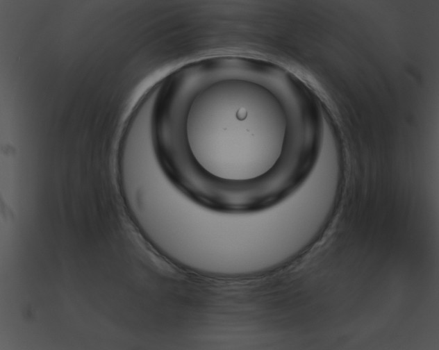 X0000090961230200708021409