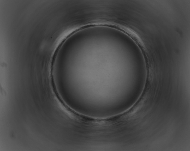 X0000090961231200708021409