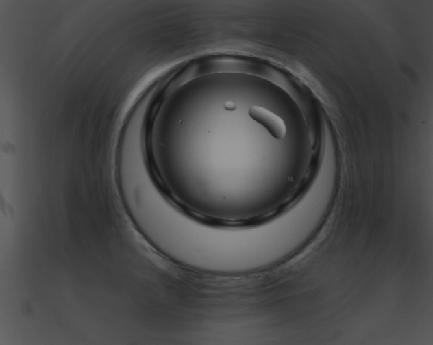 X0000090961232200708021409