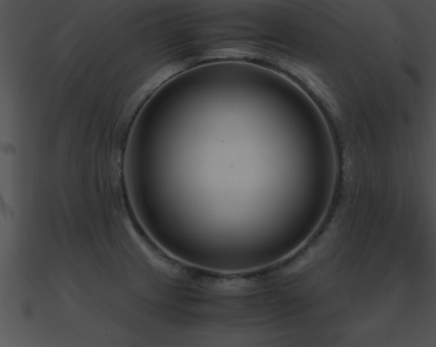 X0000090961233200708021409