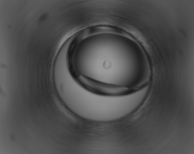 X0000090961234200708021409