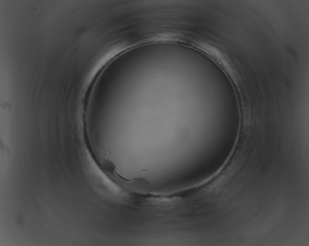 X0000090961235200708021409