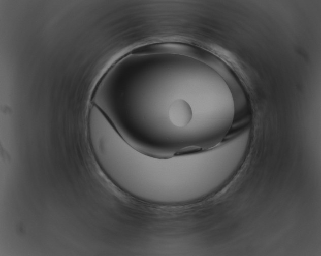 X0000090961236200708021409