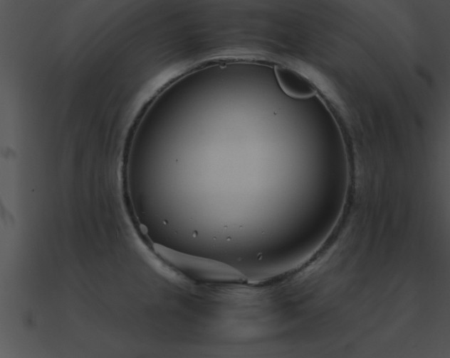 X0000090961237200708021409