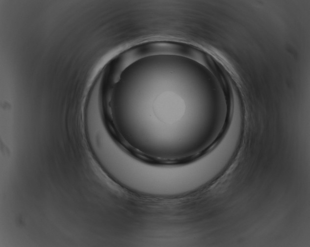 X0000090961238200708021409