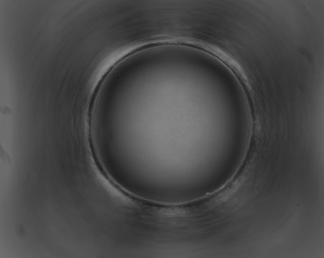 X0000090961239200708021409