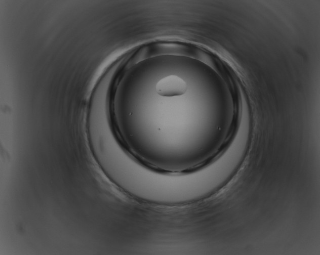 X0000090961240200708021409
