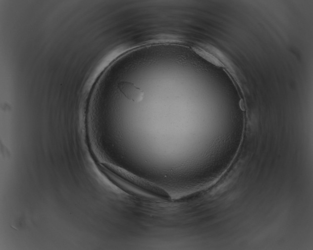 X0000090961243200708021409