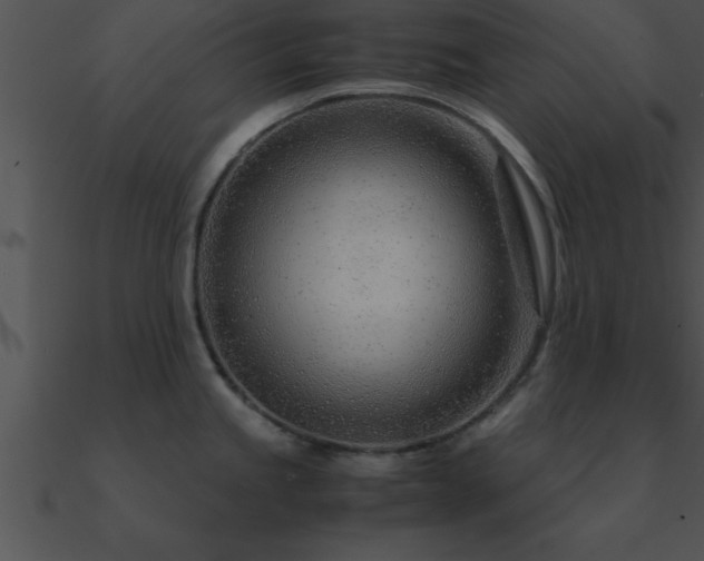 X0000090961245200708021409