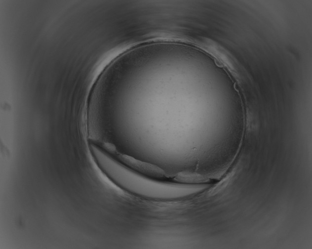 X0000090961247200708021409