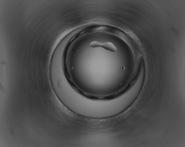 X0000090961248200708021409