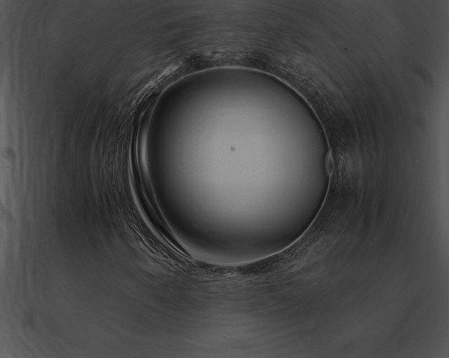 X0000090961250200708021408