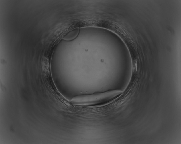 X0000090961251200708021408