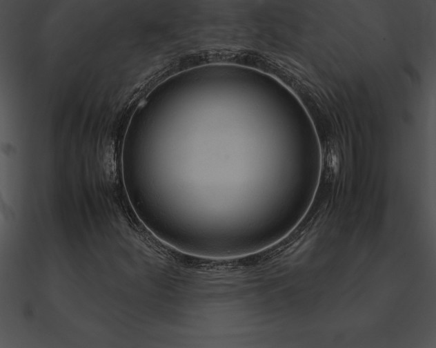 X0000090961252200708021408
