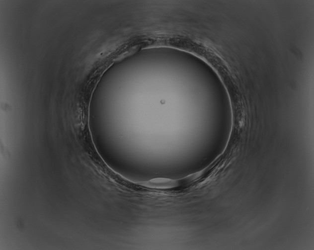 X0000090961253200708021408