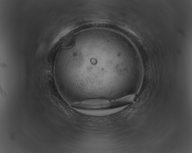 X0000090961255200708021408