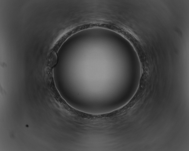 X0000090961256200708021408