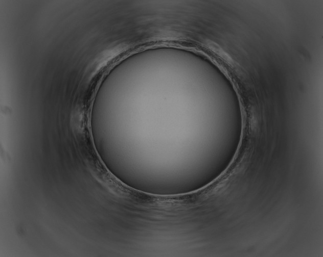 X0000090961258200708021408
