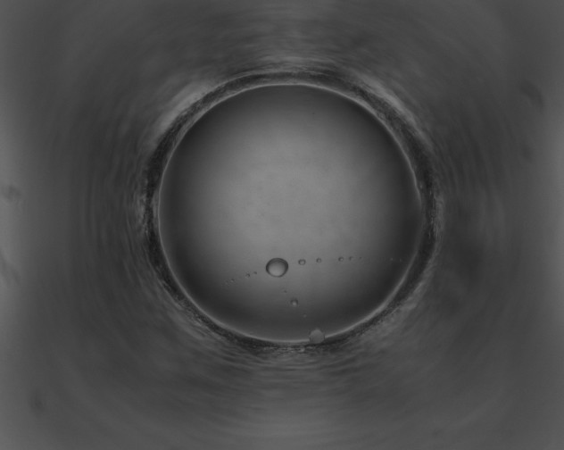 X0000090961259200708021408