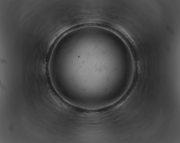 X0000090961260200708021408