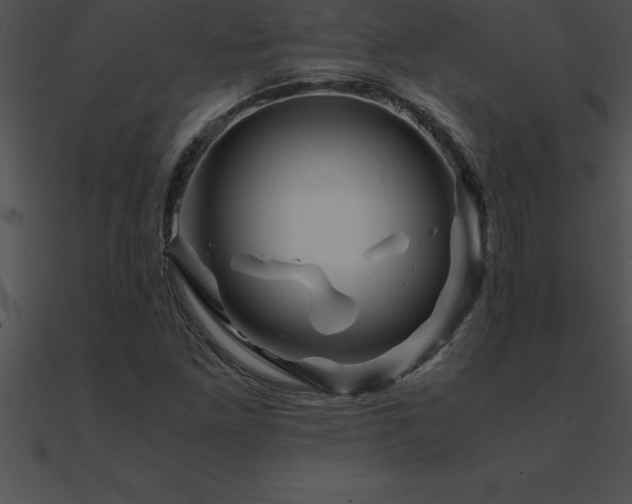 X0000090961261200708021408