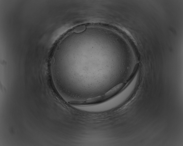X0000090961263200708021408
