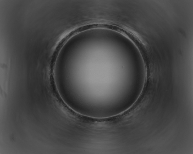 X0000090961264200708021408