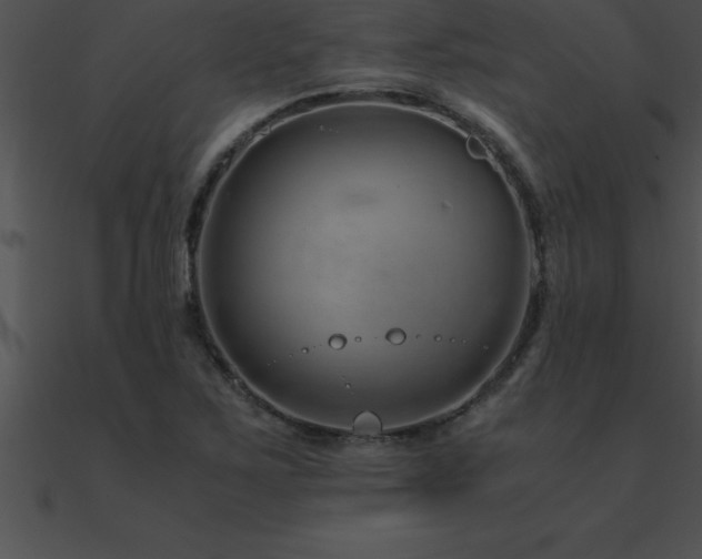 X0000090961267200708021408