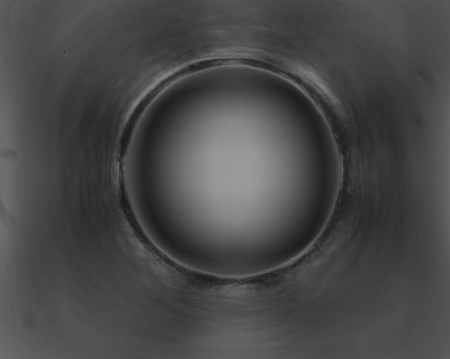 X0000090961268200708021408