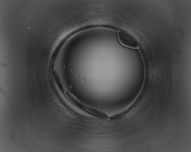 X0000090961270200708021408
