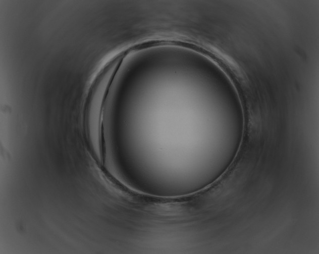X0000090961272200708021408