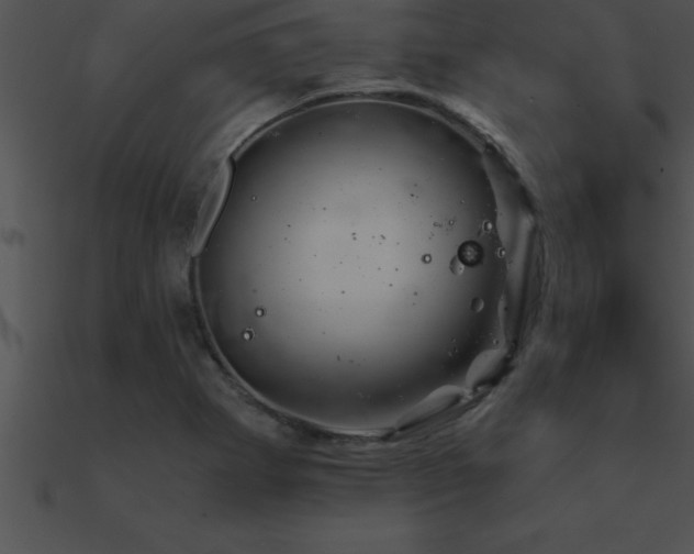 X0000090961273200708021408