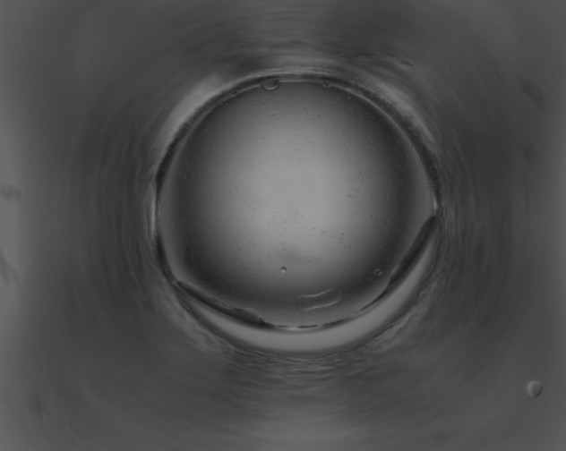 X0000090961275200708021408