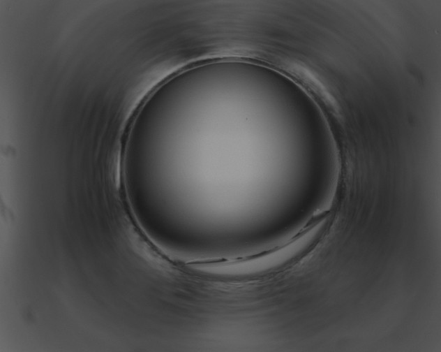 X0000090961276200708021408