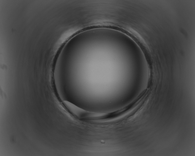 X0000090961277200708021408