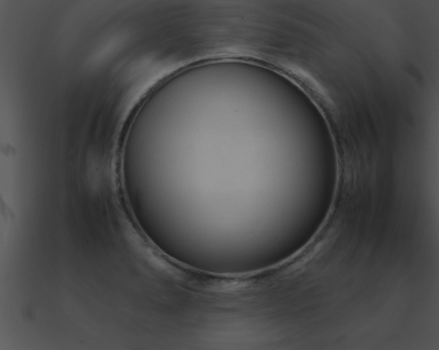 X0000090961278200708021408