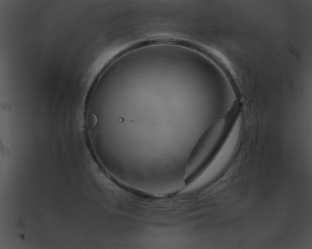 X0000090961279200708021408