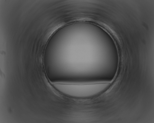 X0000090961281200708021408