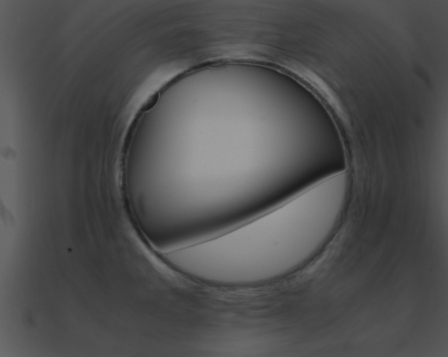 X0000090961285200708021408