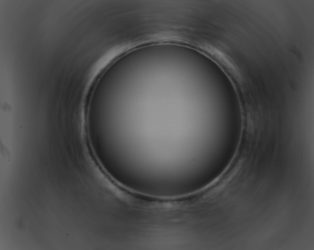 X0000090961286200708021408