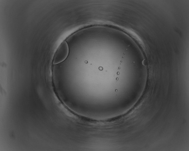 X0000090961287200708021408