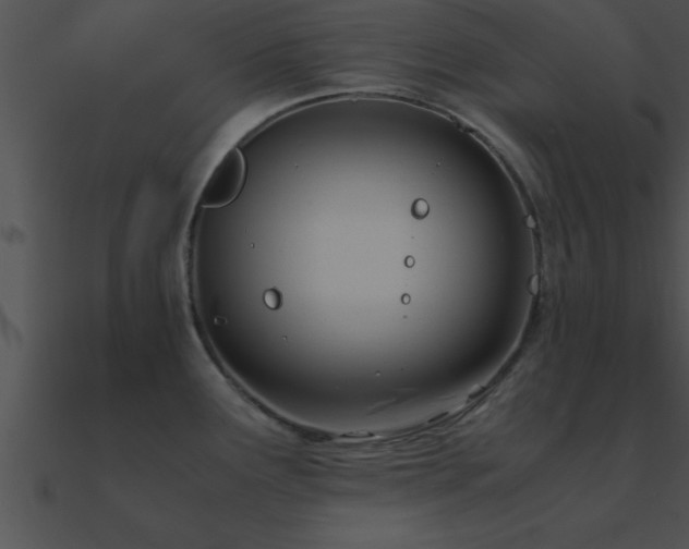 X0000090961291200708021408