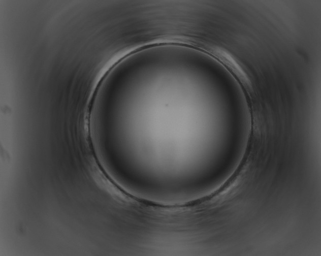 X0000090961292200708021408