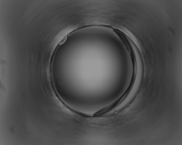 X0000090961293200708021408