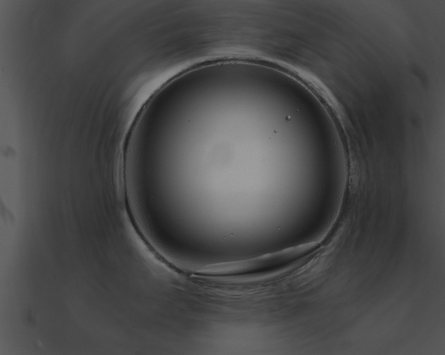 X0000090961295200708021408