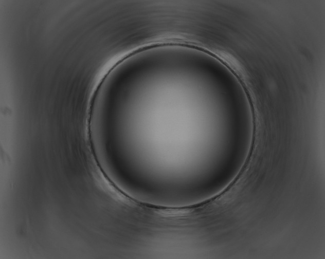 X0000090961296200708021408