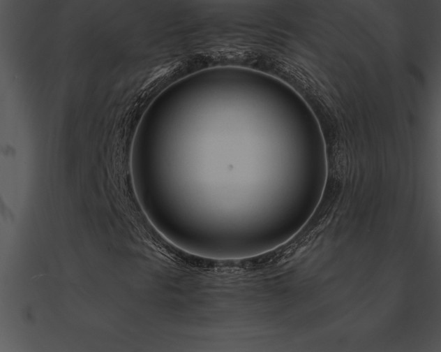 X0000090961297200708021407