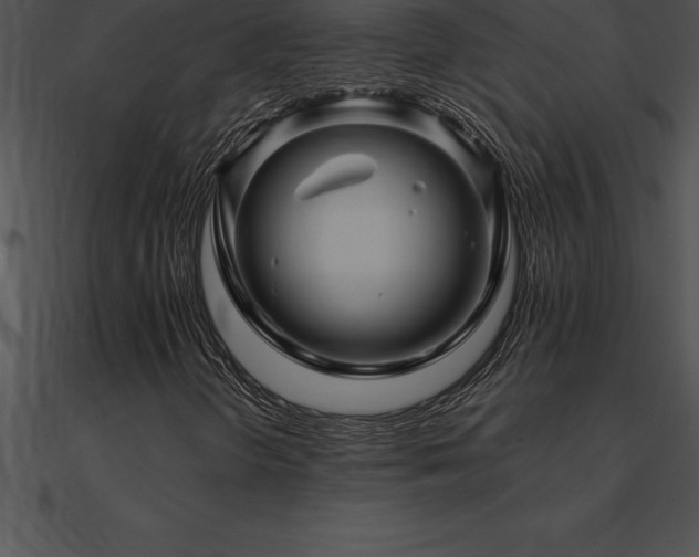 X0000090961298200708021407
