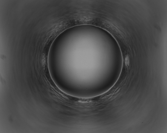 X0000090961299200708021407