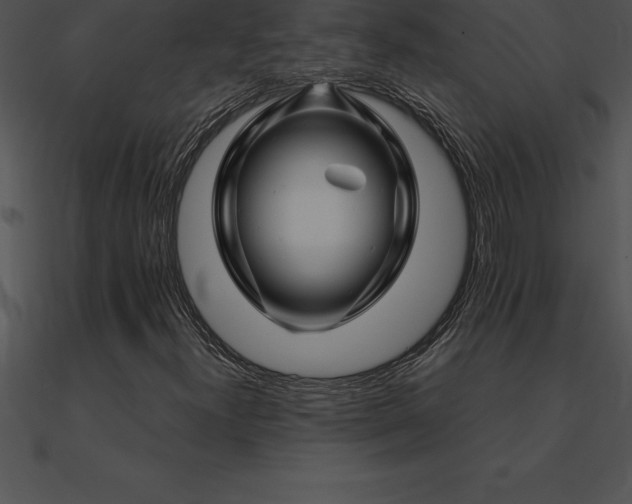 X0000090961300200708021407